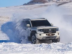 “姚十八”侵权比亚迪方程豹案判