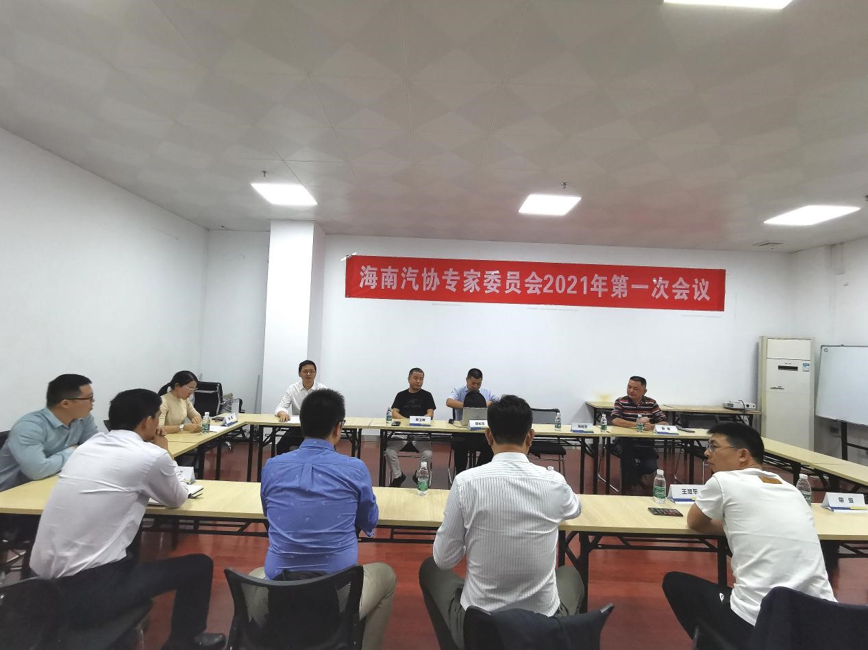 海南省汽车流通行业协会专家委员