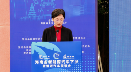 海南省新能源暨澄迈汽车展销会启