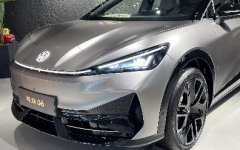 <font color='#FF0000'>大众安徽去年继续亏损43亿元，金标</font>